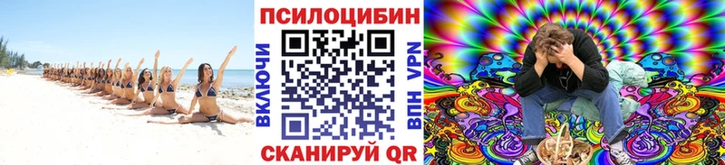 Галлюциногенные грибы Psilocybe  как найти   Яровое 